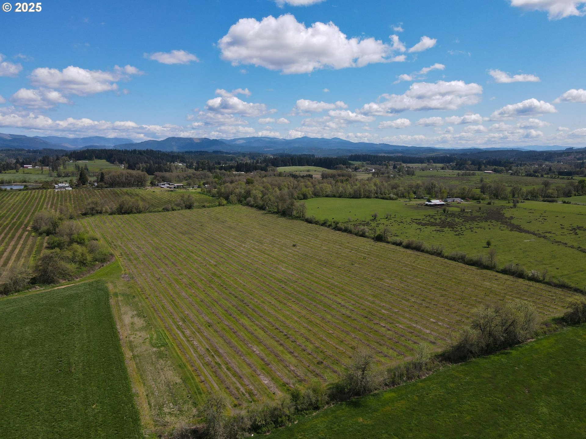 34974 Richardson Gap Road Lebanon, OR 97355 - Photo 19 of 21