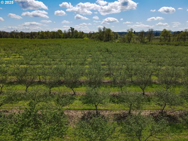 $1,295,000 | 34974 Richardson Gap Road, Lebanon, OR 97355