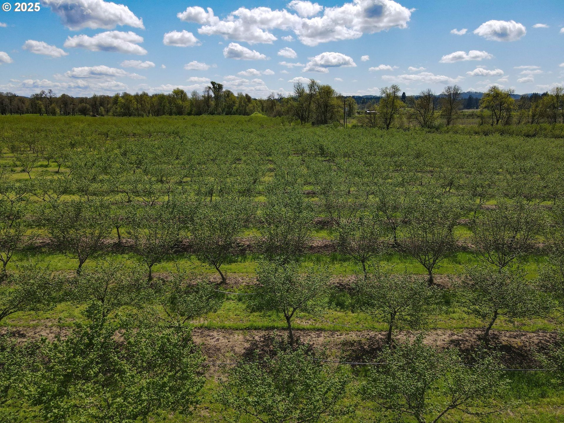 34974 Richardson Gap Road Lebanon, OR 97355 - Photo 20 of 21