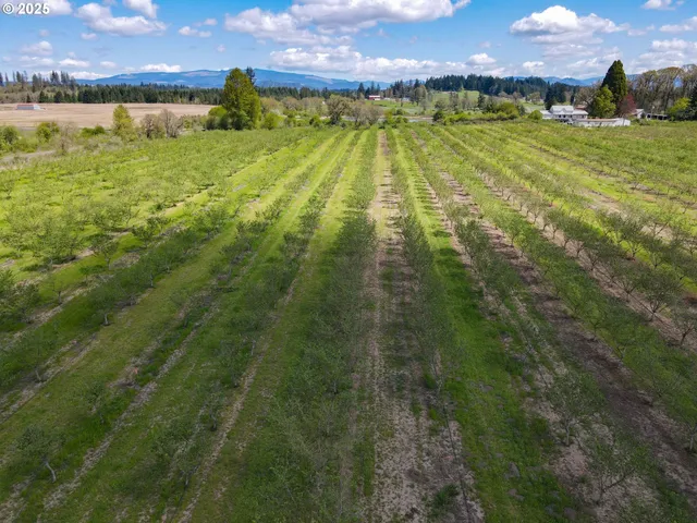 $1,295,000 | 34974 Richardson Gap Road, Lebanon, OR 97355