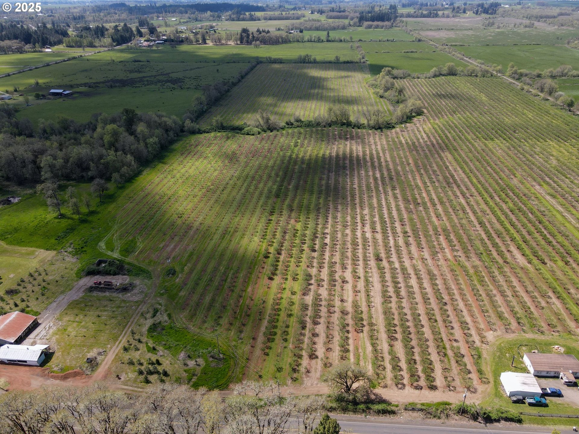 34974 Richardson Gap Road Lebanon, OR 97355 - Photo 7 of 21