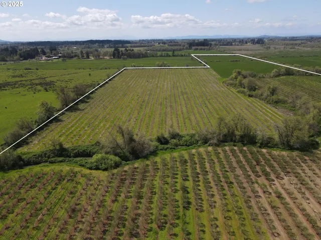 $1,295,000 | 34974 Richardson Gap Road, Lebanon, OR 97355