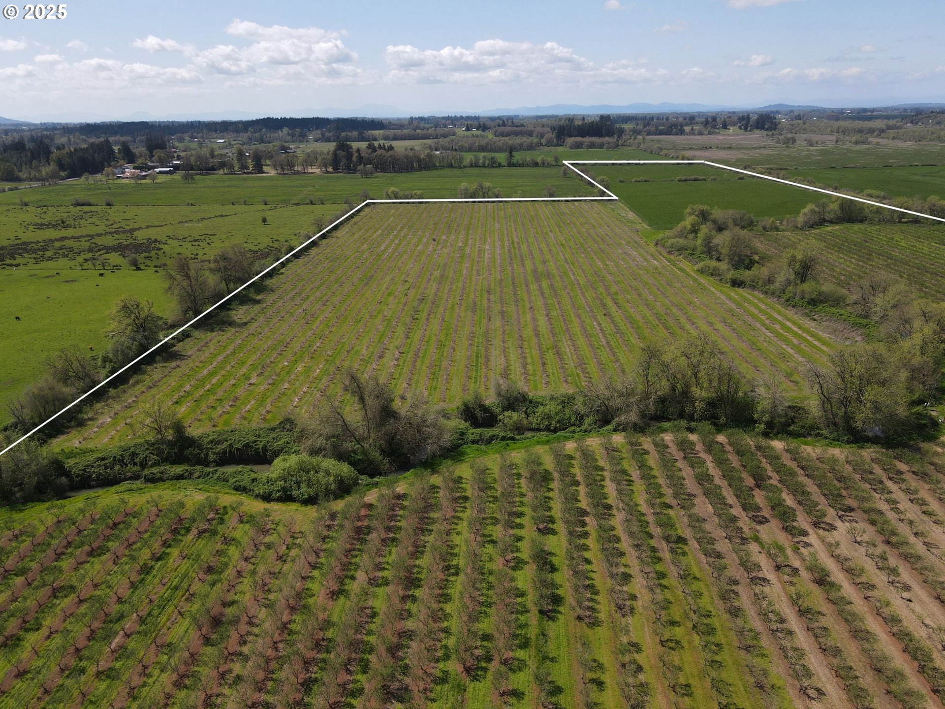 34974 Richardson Gap Road Lebanon, OR 97355 - Photo 9 of 21