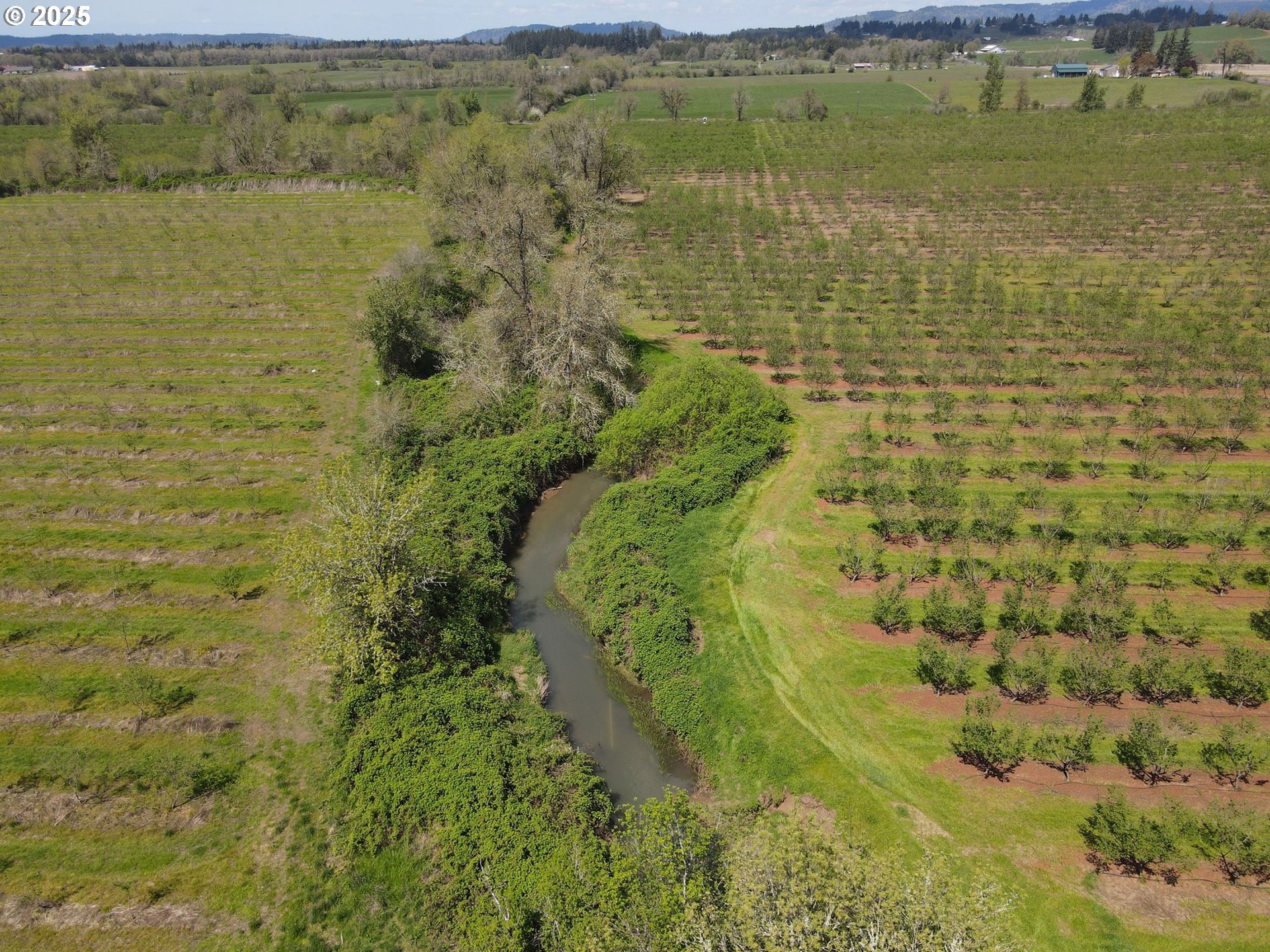 34974 Richardson Gap Road Lebanon, OR 97355 - Photo 10 of 21