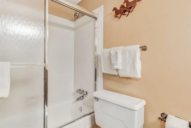 a bathroom with a shower and a toilet