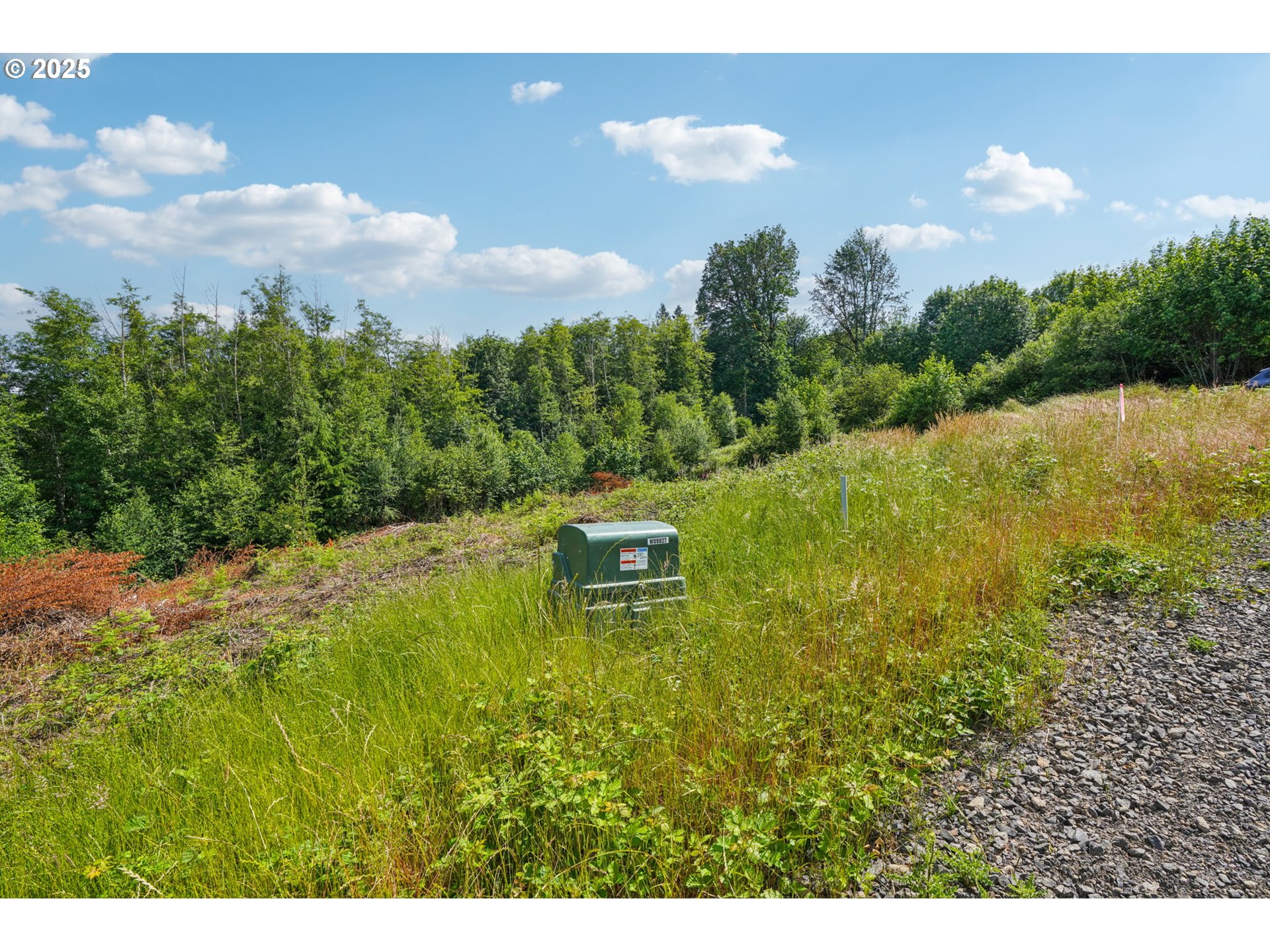 1830 Hazel Dell Road, Unit LOT 3 Castle Rock, WA 98611 - Photo 22 of 31 a backyard of a house with lots of green space