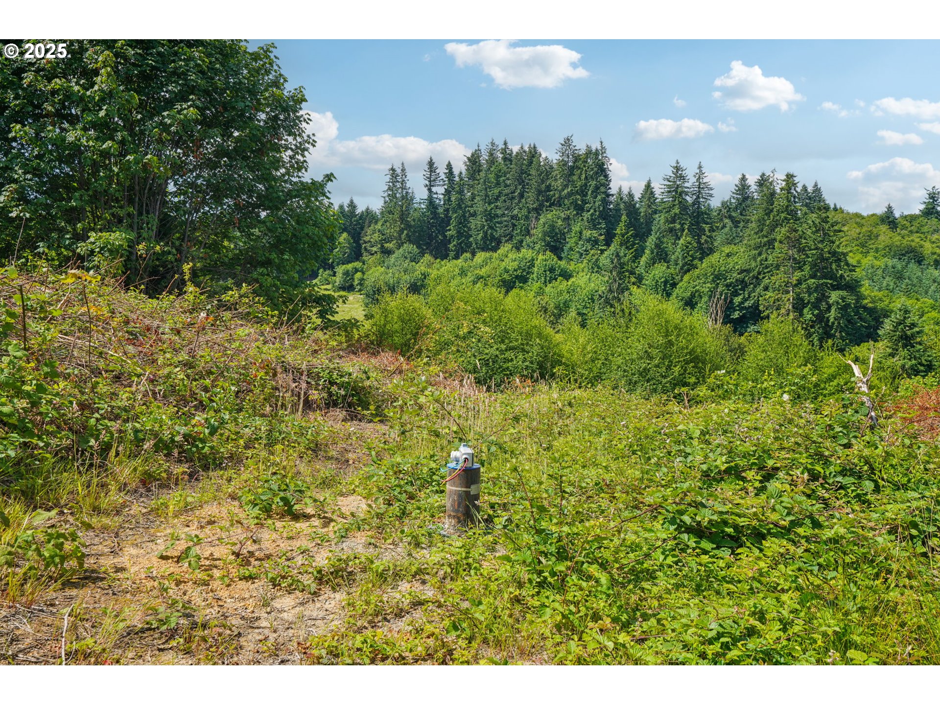 1830 Hazel Dell Road, Unit LOT 3 Castle Rock, WA 98611 - Photo 23 of 31 a view of a bunch of trees and bushes