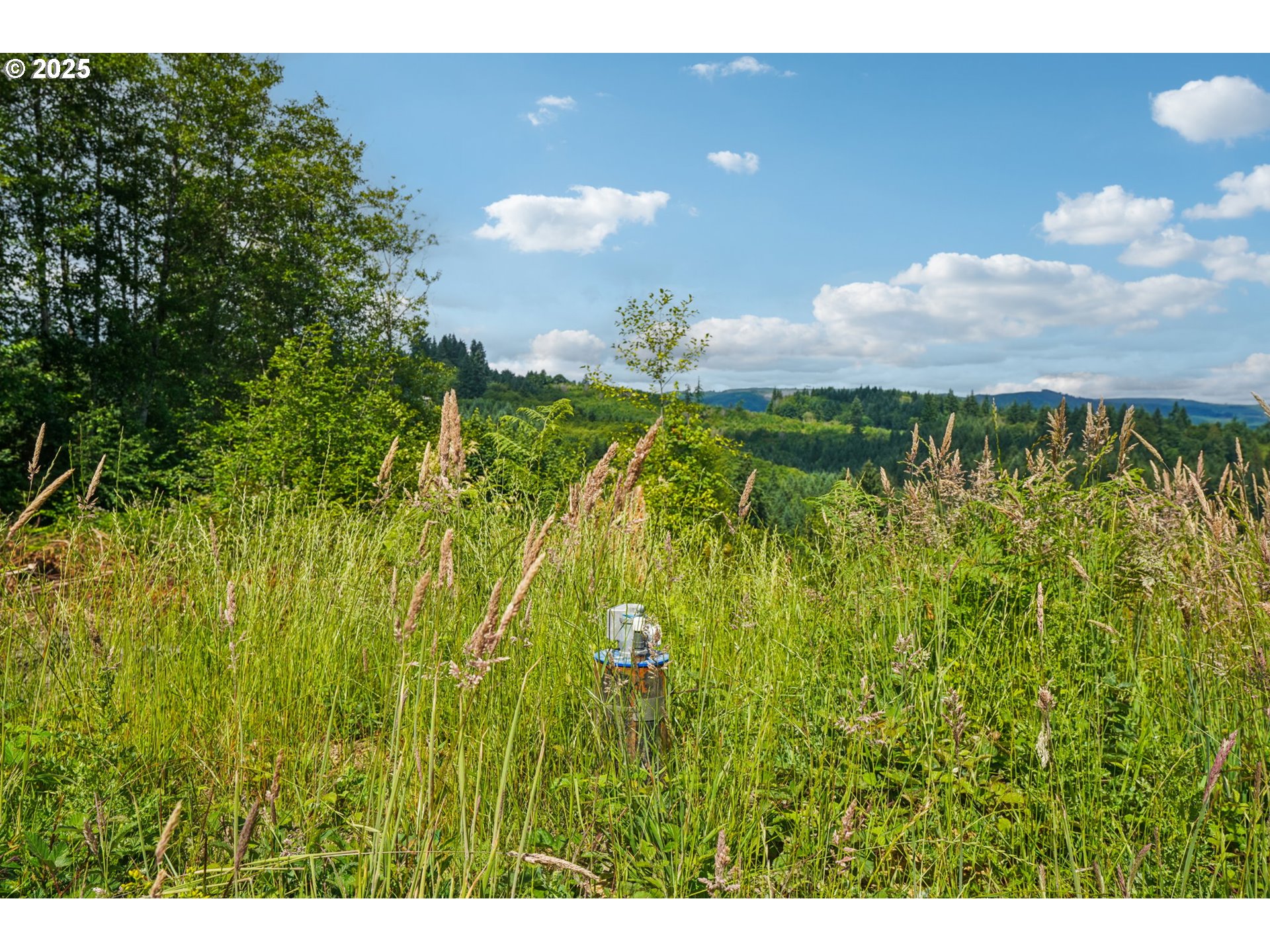 1830 Hazel Dell Road, Unit LOT 3 Castle Rock, WA 98611 - Photo 24 of 31