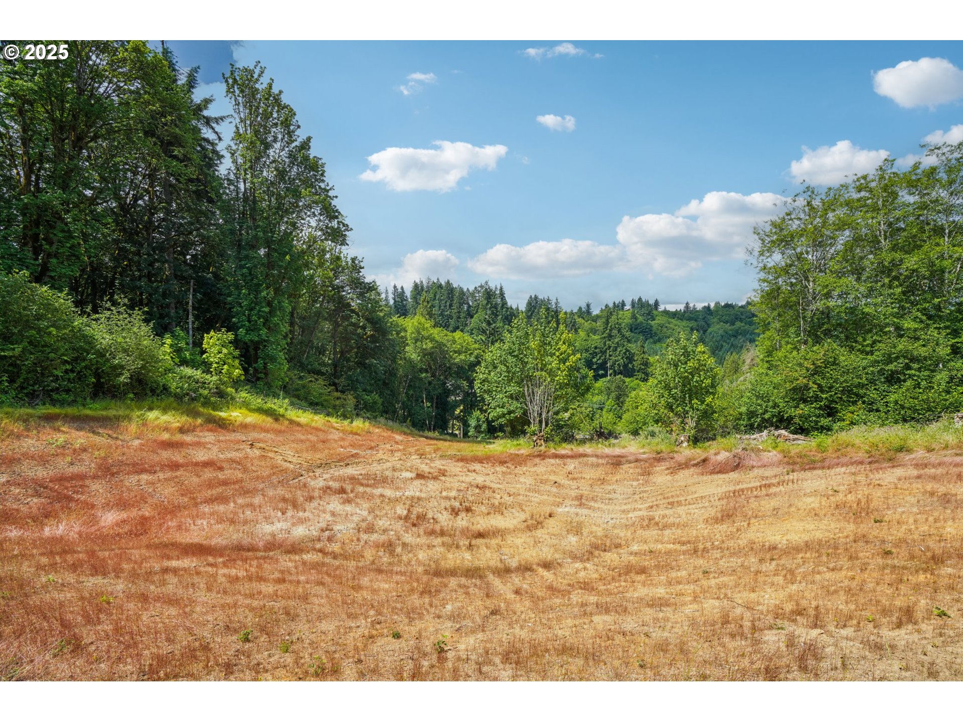 1830 Hazel Dell Road, Unit LOT 3 Castle Rock, WA 98611 - Photo 28 of 31 a ocean view with beach