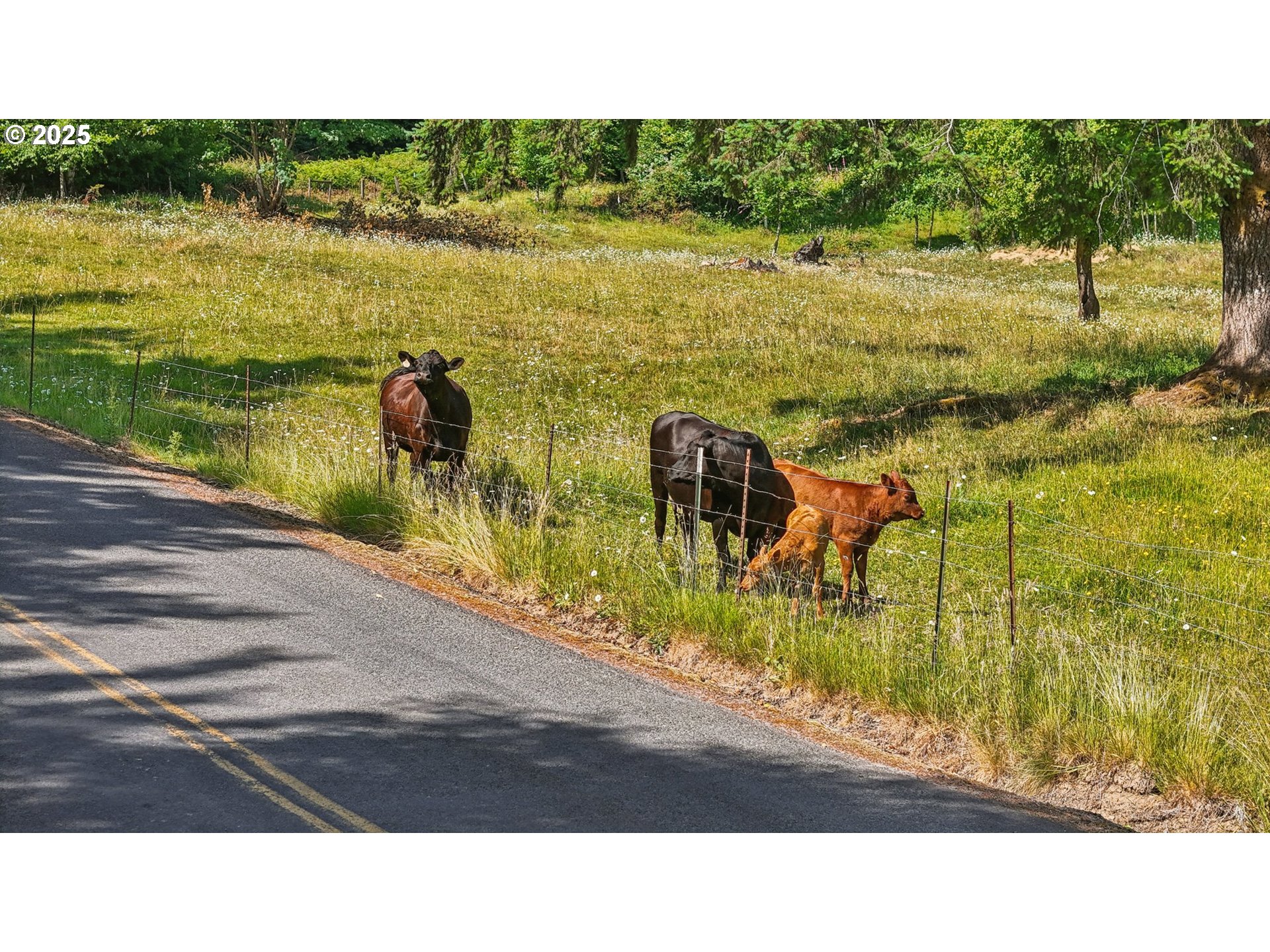 1830 Hazel Dell Road, Unit LOT 3 Castle Rock, WA 98611 - Photo 31 of 31 a black and white photo of a lake