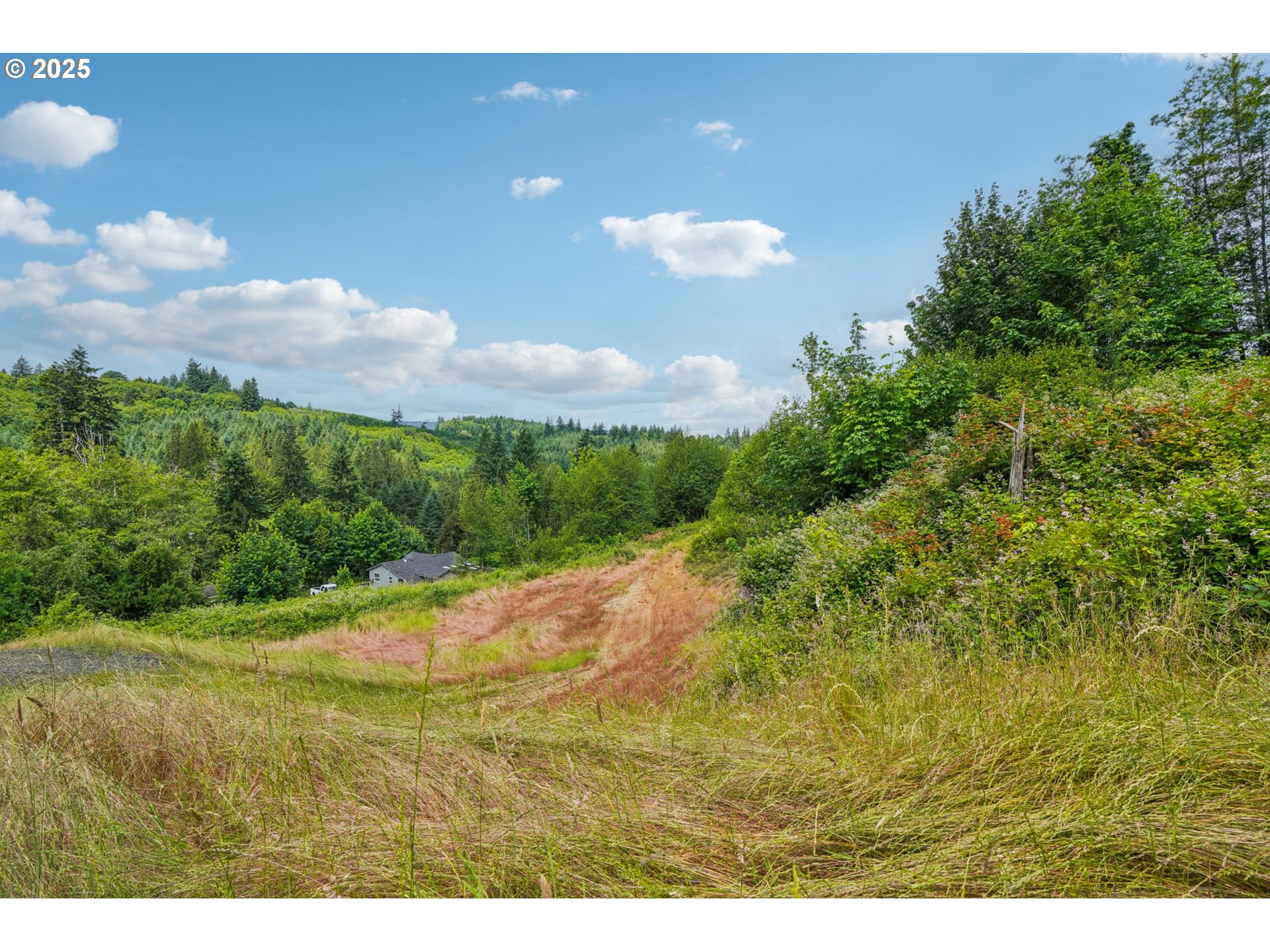 1830 Hazel Dell Road, Unit LOT 3 Castle Rock, WA 98611 - Photo 8 of 31 a view of a yard with an outdoor space