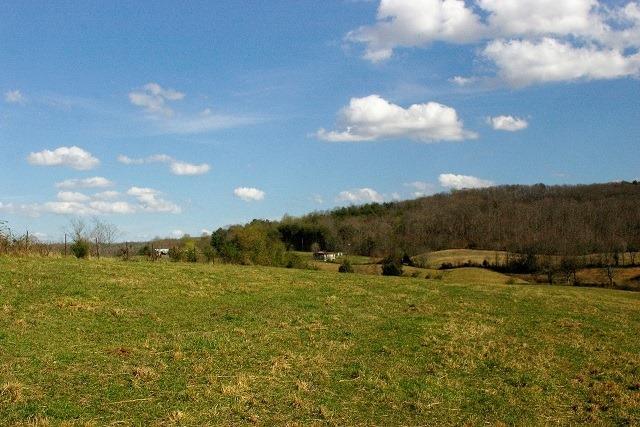 0 Griffith Road Pikeville, TN 37367 - Photo 9 of 18 59360387_10158442871862166_5028135513555