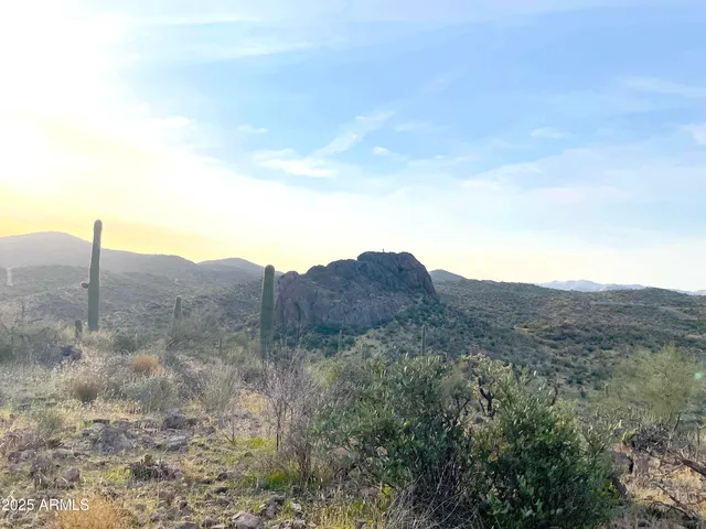 a view of a dry yard with mountains in the background