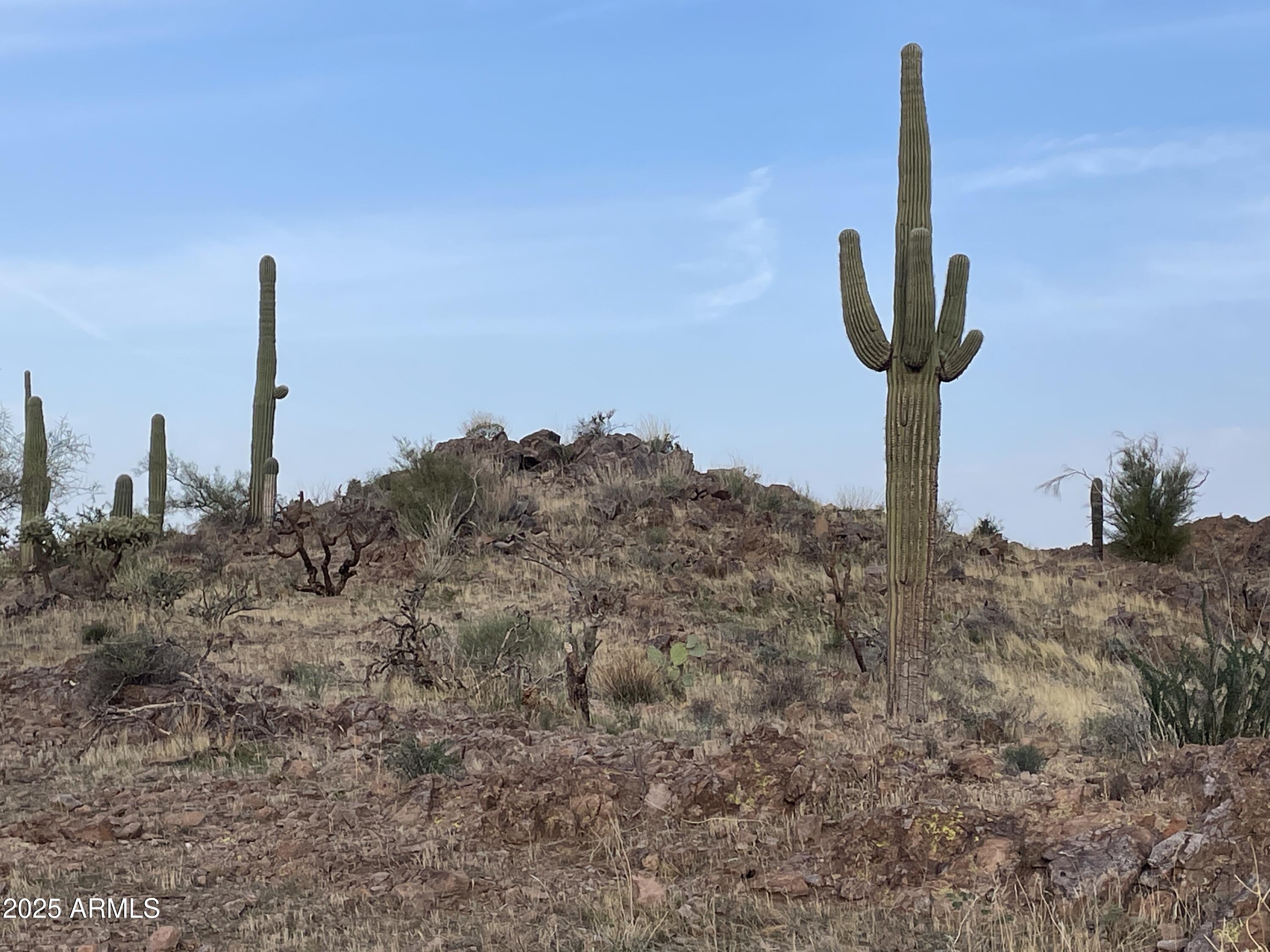 9 North Elephant Butte Road, Unit J Gold Canyon, AZ 85118 - Photo 2 of 9 a view of a city