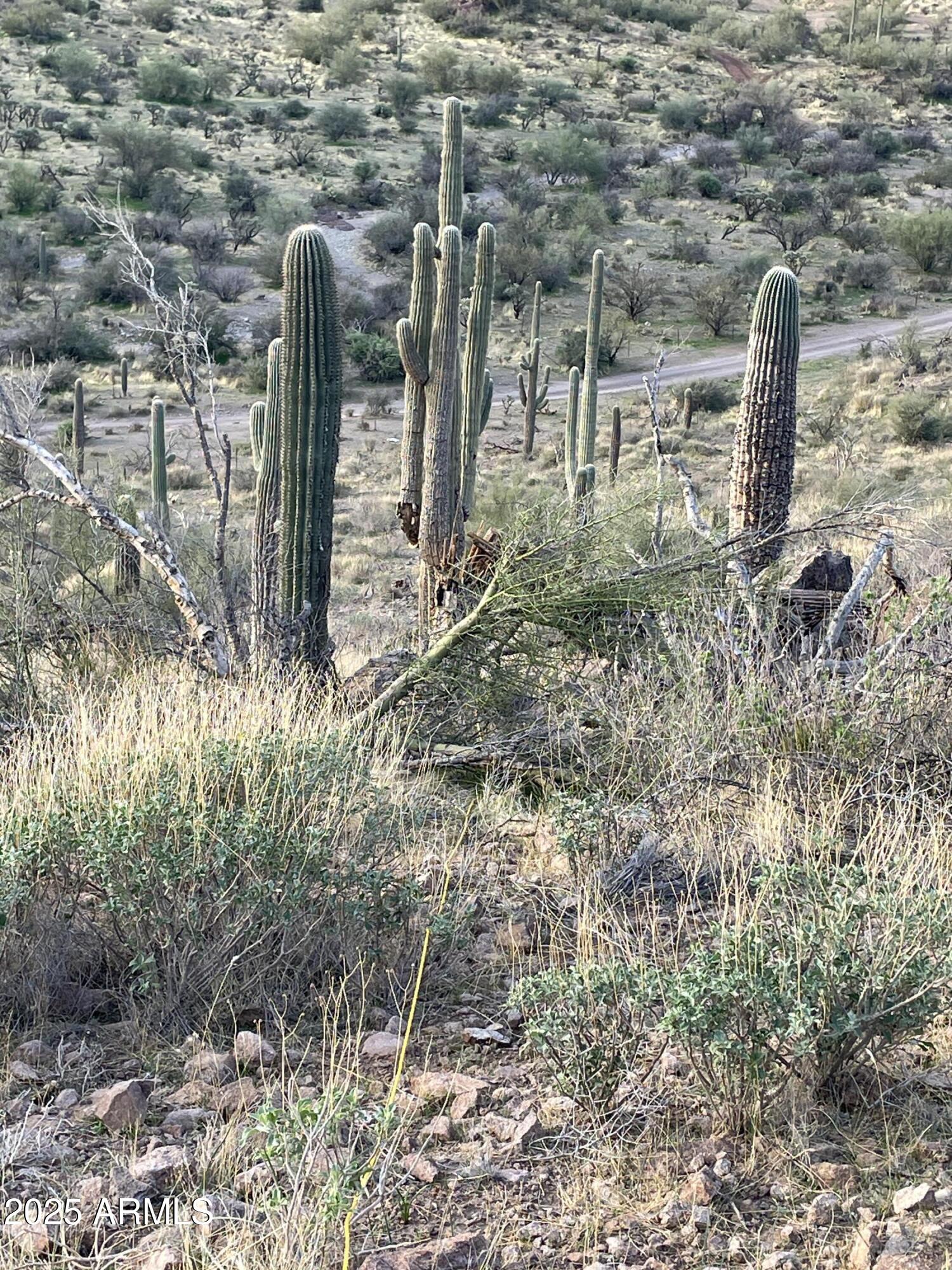 9 North Elephant Butte Road, Unit J Gold Canyon, AZ 85118 - Photo 3 of 9