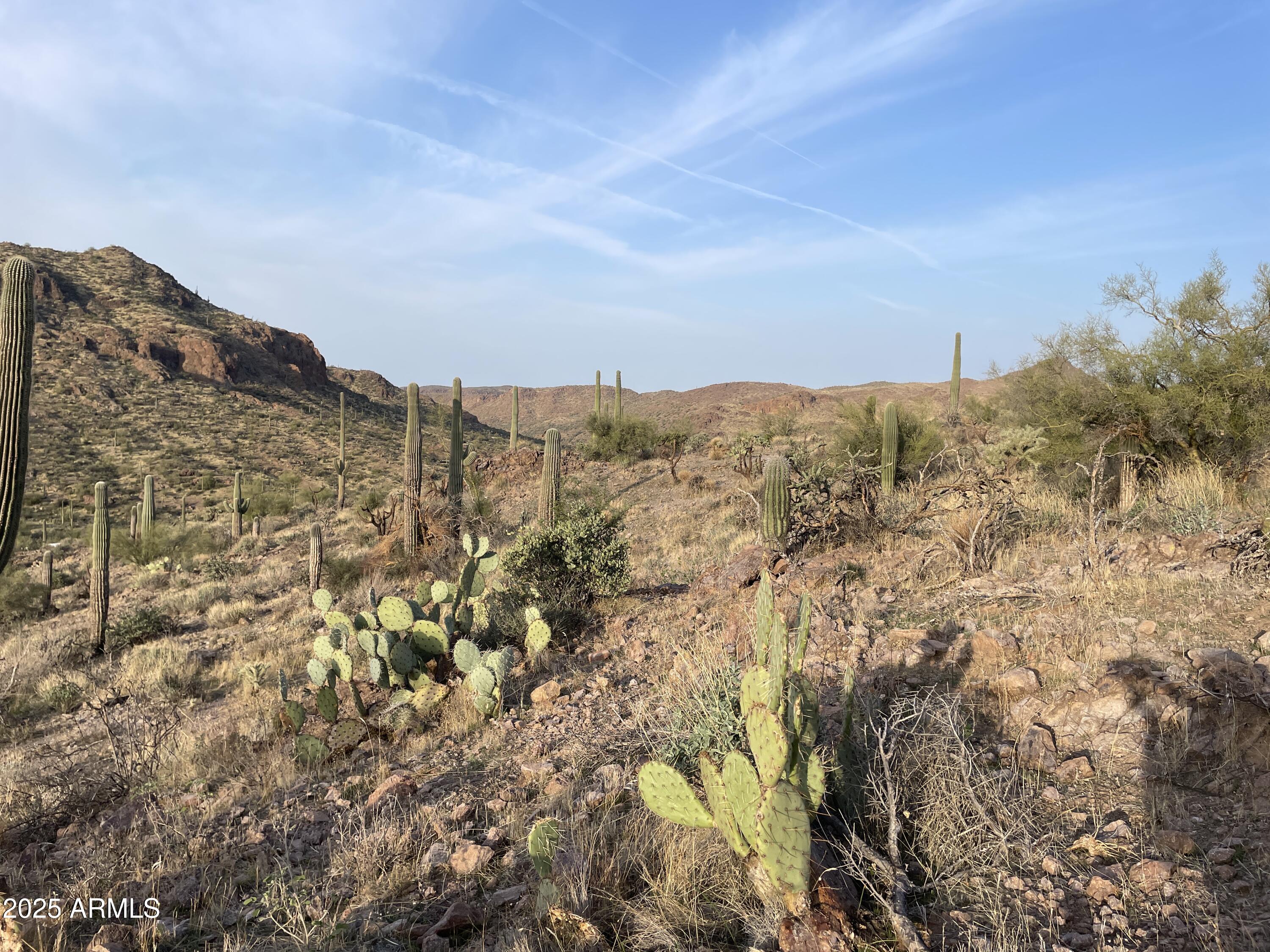 9 North Elephant Butte Road, Unit J Gold Canyon, AZ 85118 - Photo 4 of 9 a view of mountains