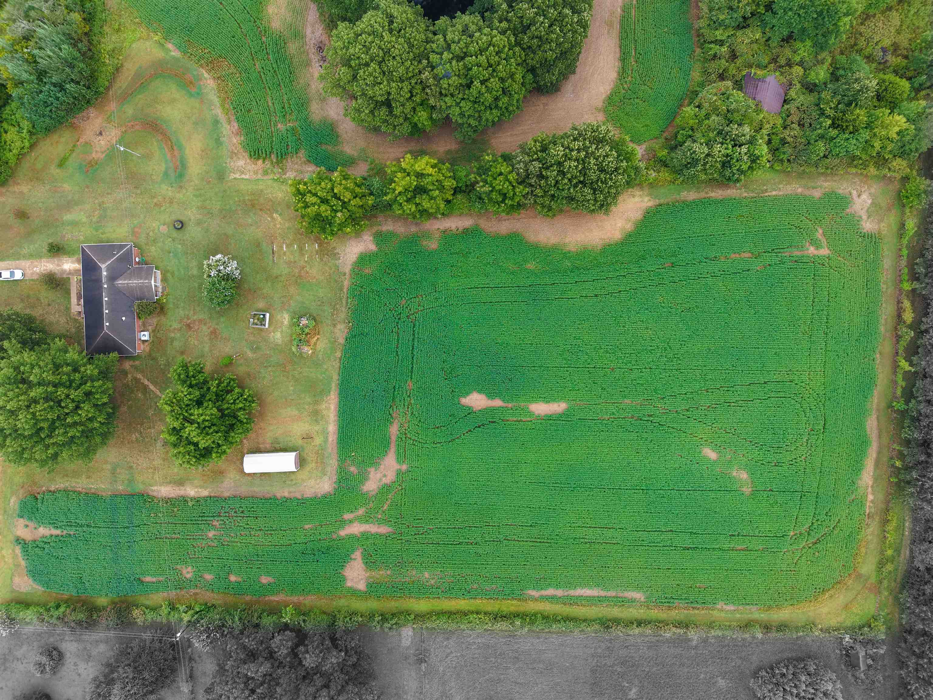 2143 Toulon Road Ripley, TN 38063 - Photo 4 of 39