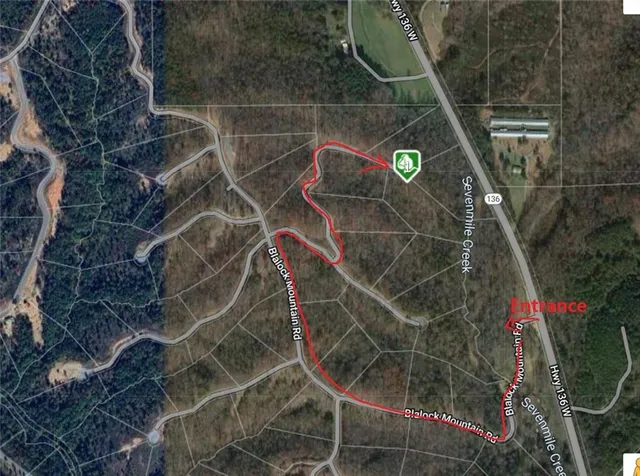 a view of backyard with trees