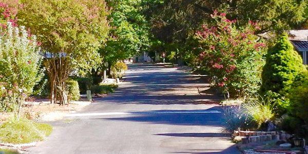 146 Lark Street Penn Valley, CA 95946 - Photo 32 of 36 idyllic tree lined streets in a forest setting