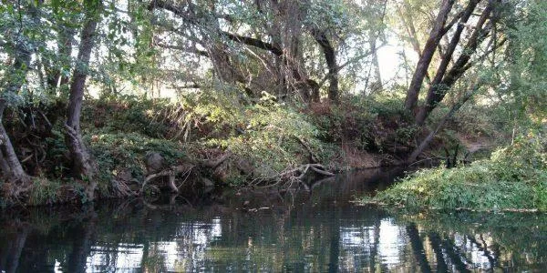 $42,900 | 146 Lark Street, Penn Valley, CA 95946