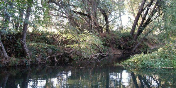 146 Lark Street Penn Valley, CA 95946 - Photo 33 of 36 The county creek is just a short walk from the community