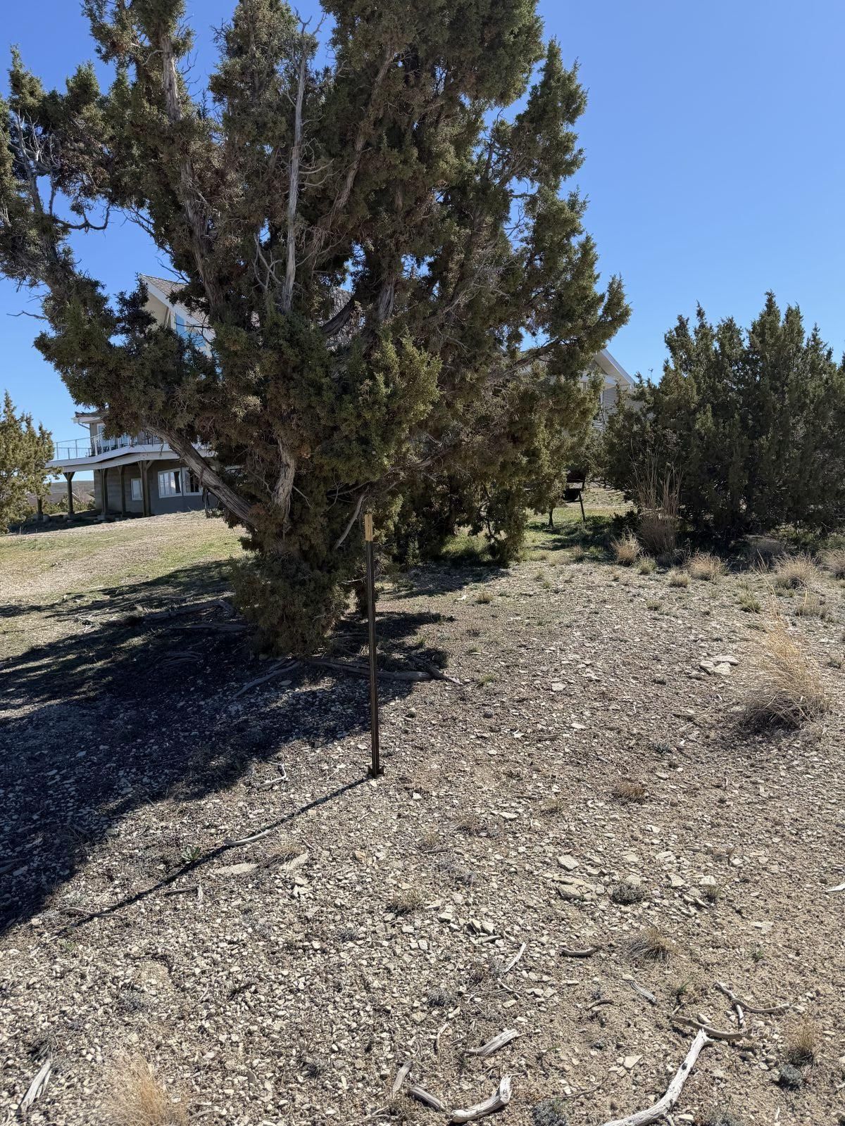 Andy's Way Elko, NV 89801 - Photo 9 of 16