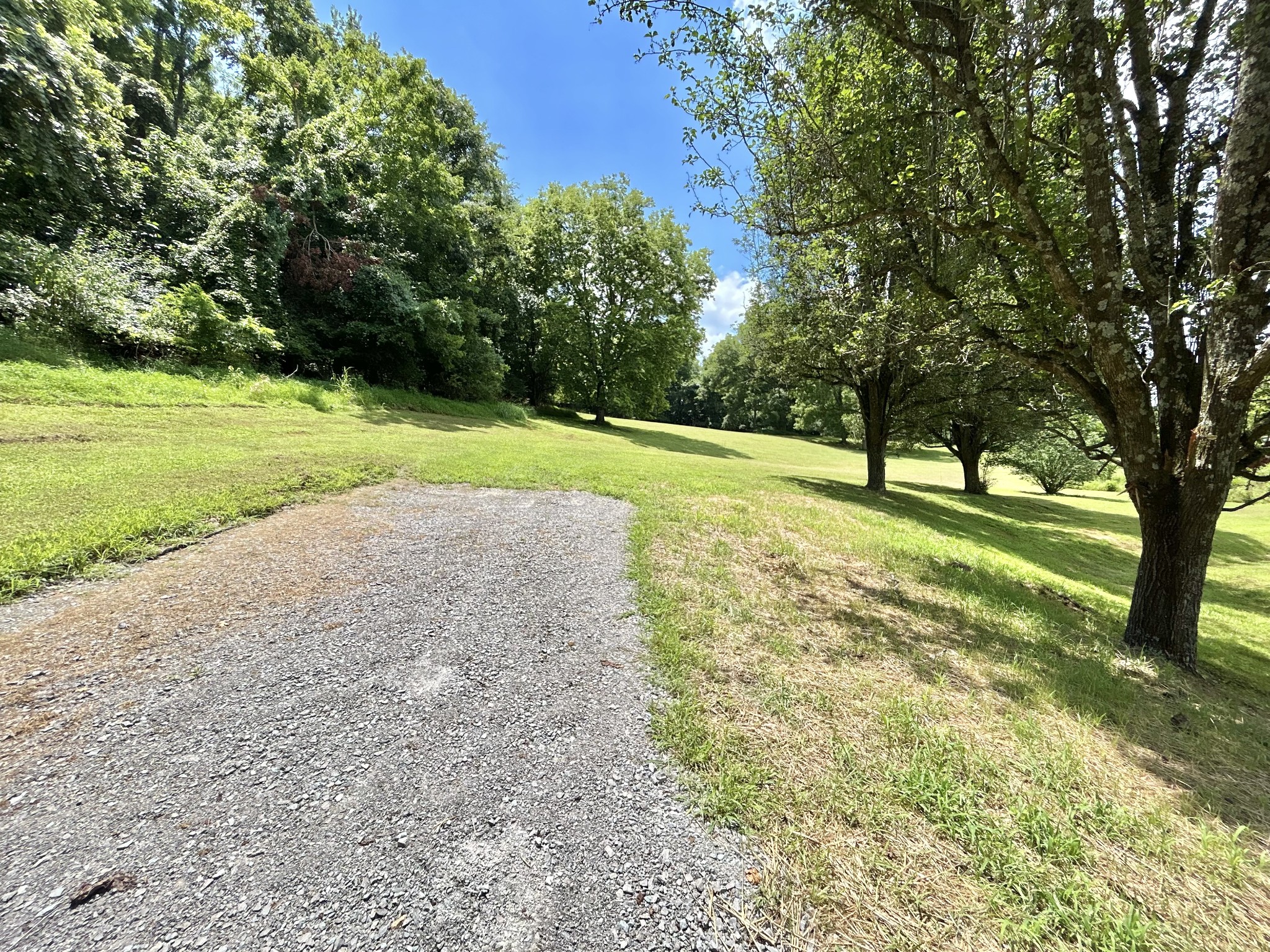 3 Hatchett Hollow Road Cornersville, TN 37047 - Photo 11 of 36