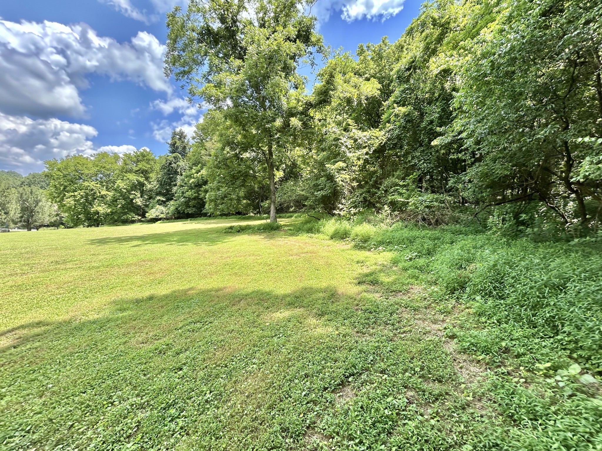 3 Hatchett Hollow Road Cornersville, TN 37047 - Photo 21 of 36