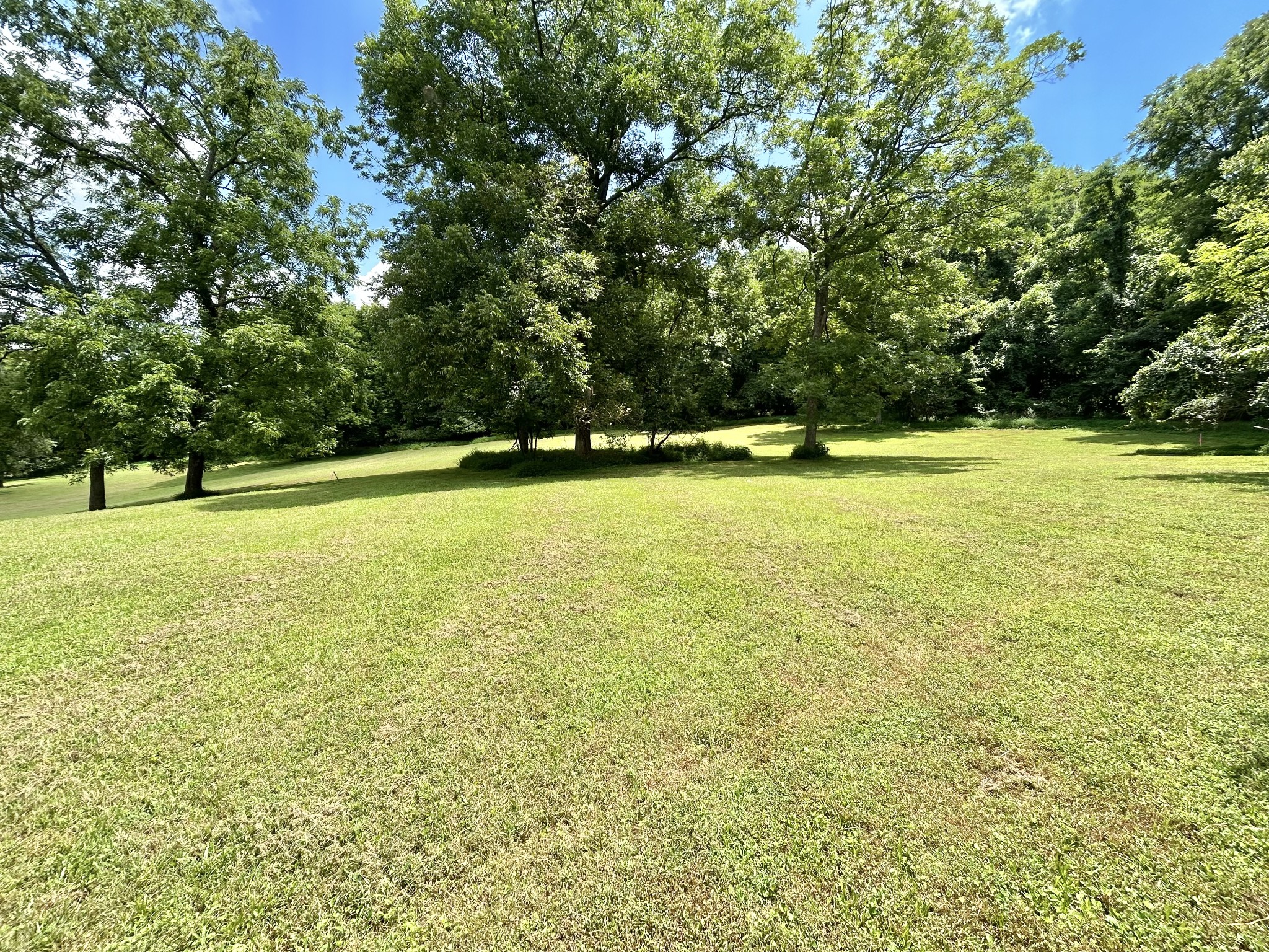 3 Hatchett Hollow Road Cornersville, TN 37047 - Photo 26 of 36