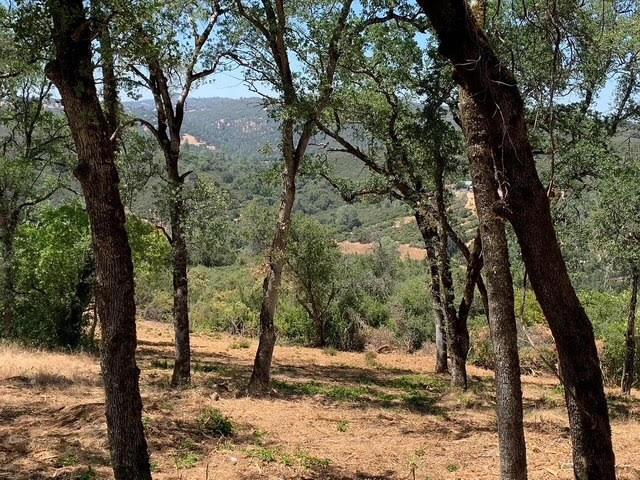 555 Jurgens Road Rescue, CA 95672 - Photo 18 of 38 Gallery Image 18