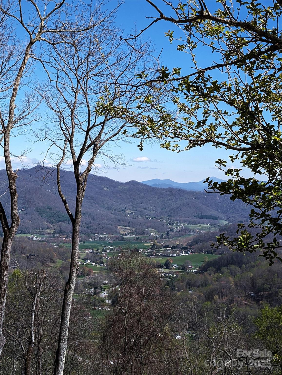 40 Dorchester Road Waynesville, NC 28785 - Photo 1 of 7 Gallery Image 1