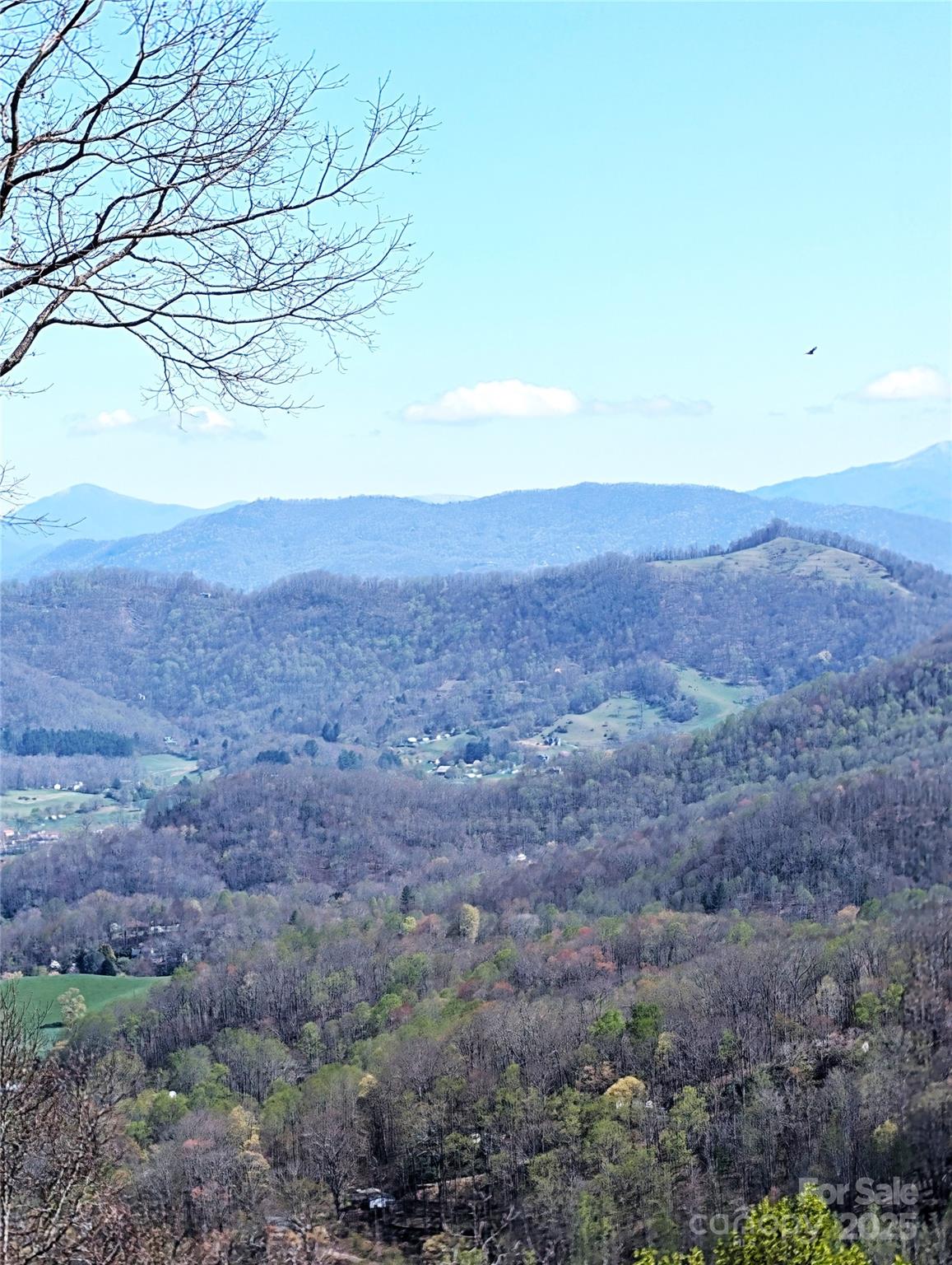 40 Dorchester Road Waynesville, NC 28785 - Photo 3 of 7 Gallery Image 3