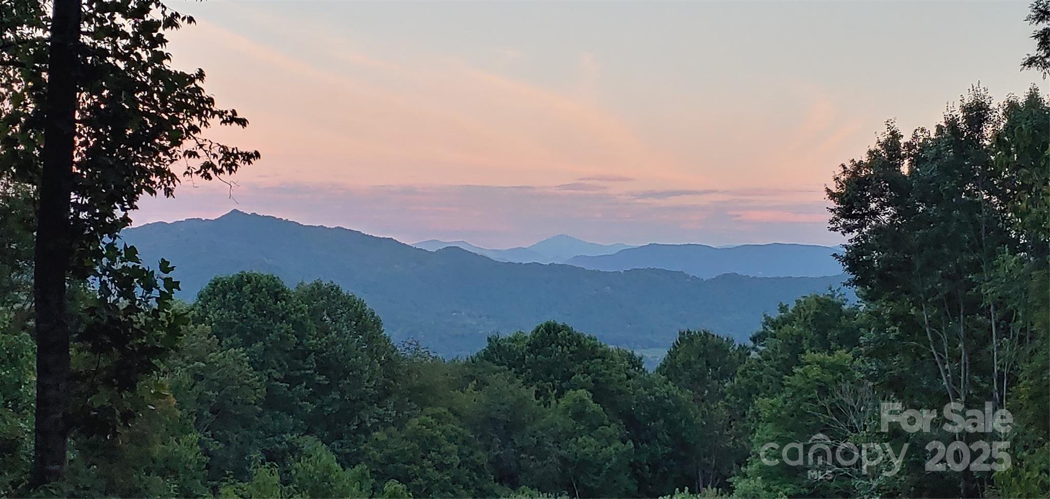 40 Dorchester Road Waynesville, NC 28785 - Photo 6 of 7 Gallery Image 6