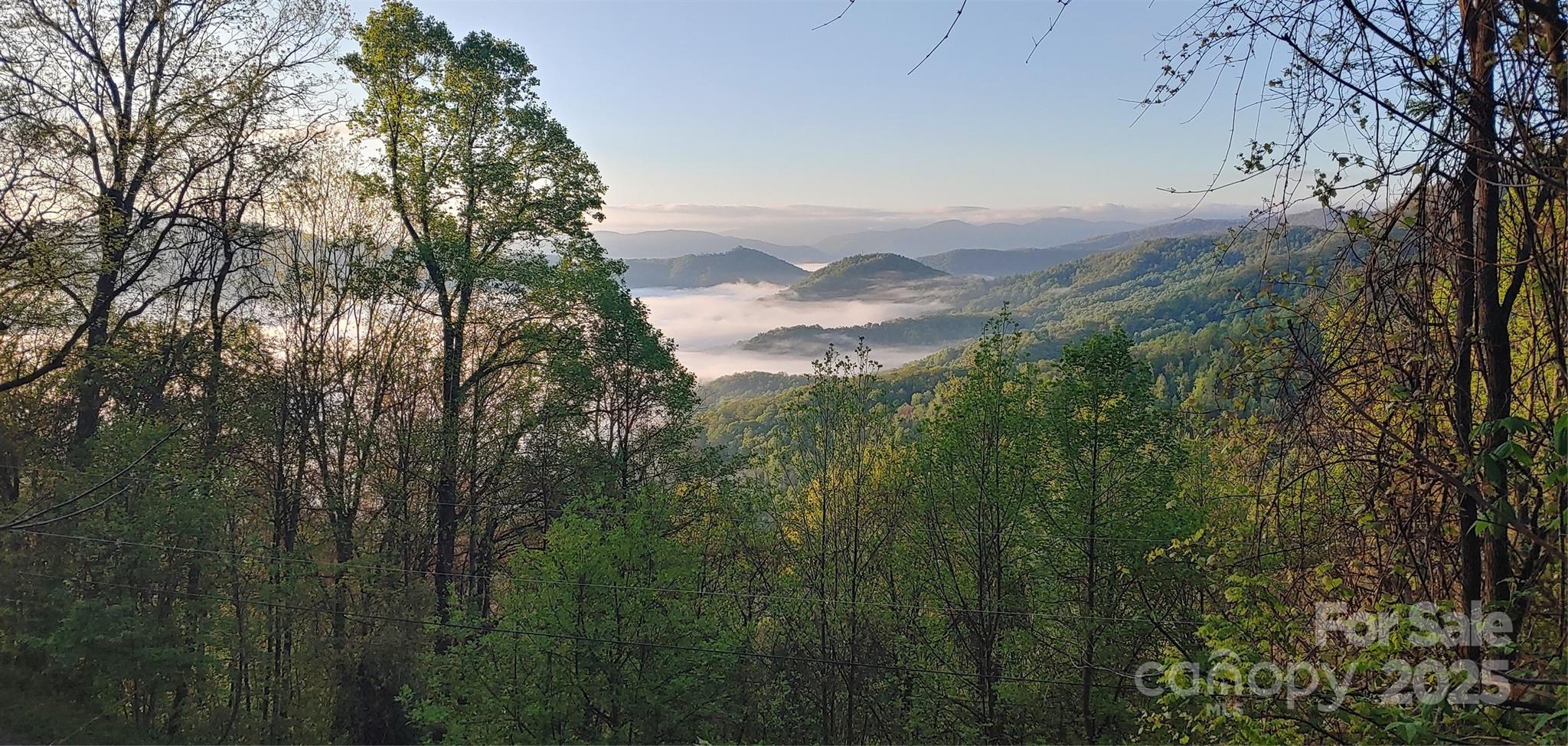 40 Dorchester Road Waynesville, NC 28785 - Photo 7 of 7 Gallery Image 7