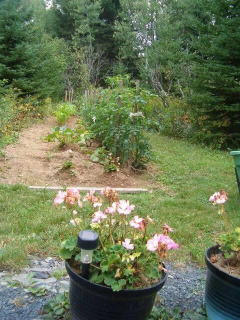 687 North Perley Brook Road Fort Kent, ME 04743 - Photo 11 of 17 IMG_2370