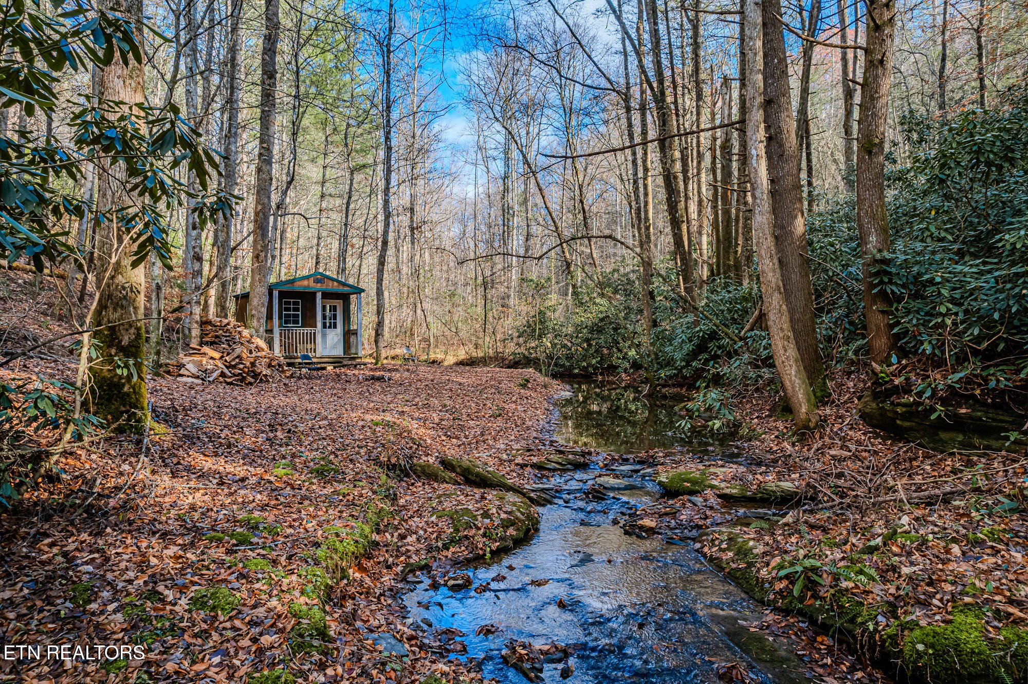 0 Pond Ridge Road Tellico Plains, TN 37385 - Photo 7 of 32