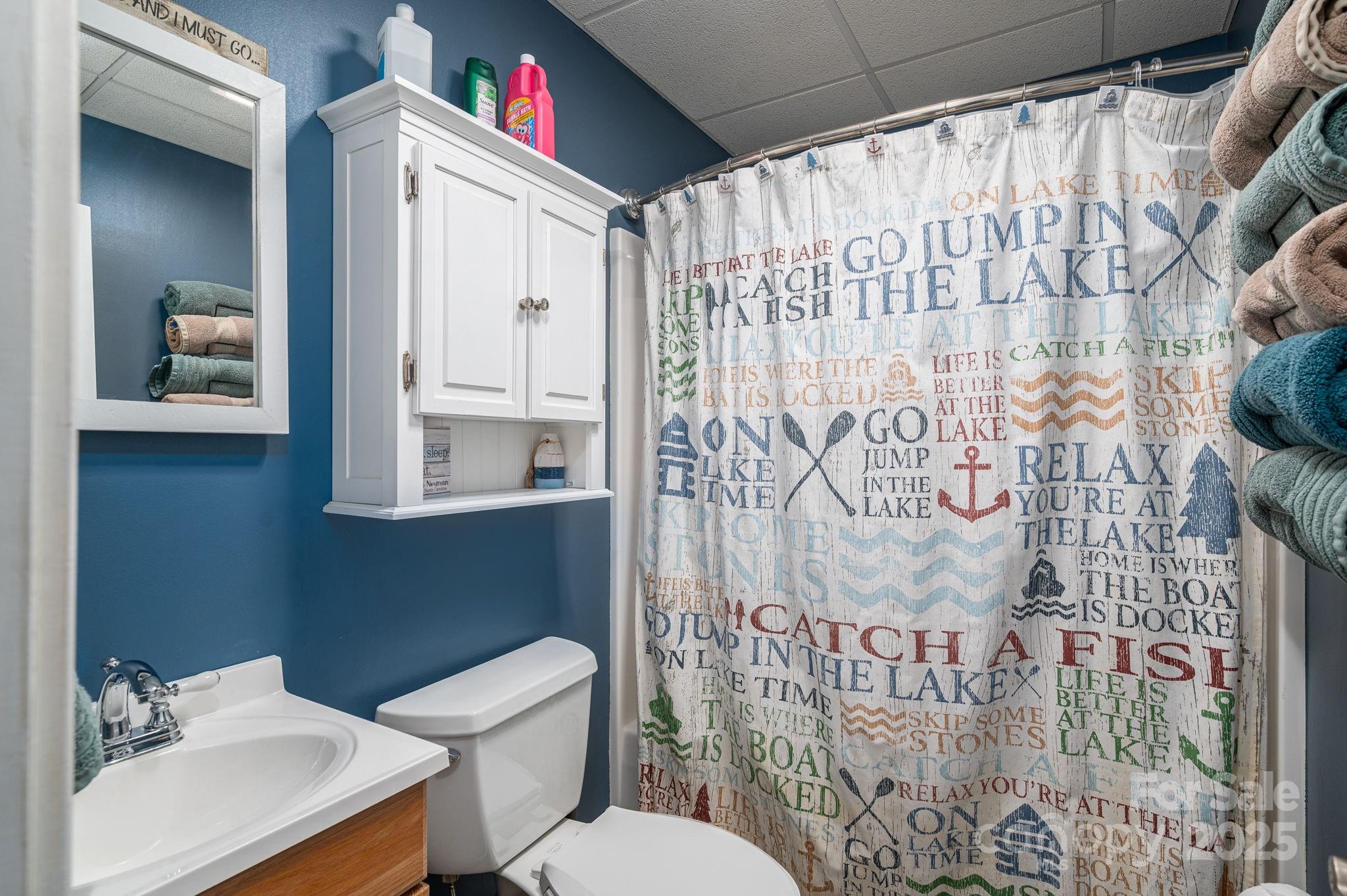 8369 Slate Street Terrell, NC 28682 - Photo 34 of 47 a bathroom with a sink and mirror with toilet