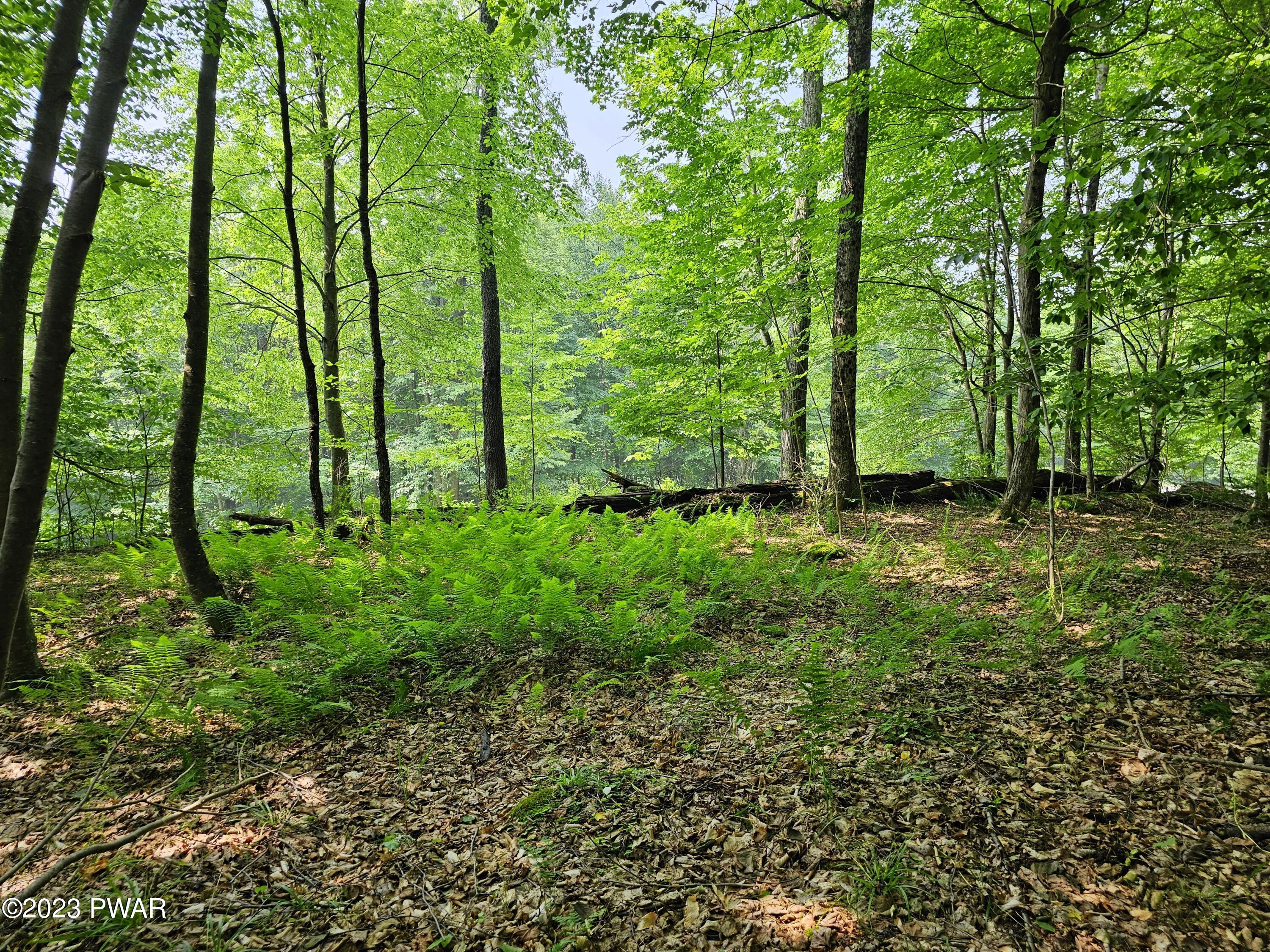 Lot 61 Rock Run Road Damascus, PA 18415 - Photo 18 of 56