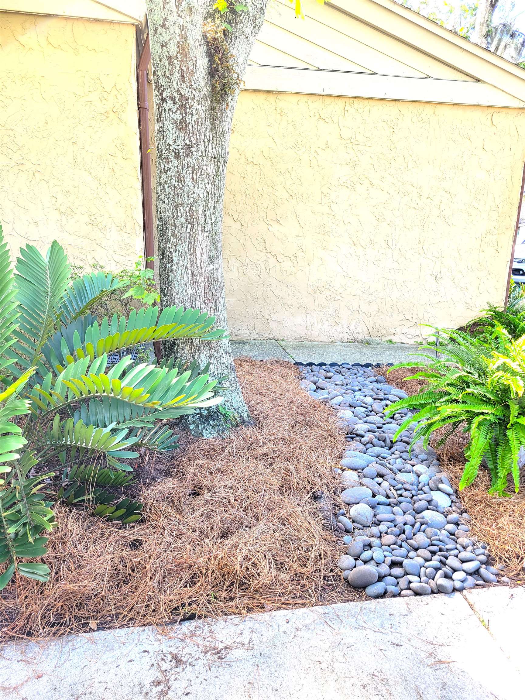 3801 Crown Point Road, Unit 3053 Jacksonville, FL 32257 - Photo 9 of 27 a view of a yard with an outdoor space