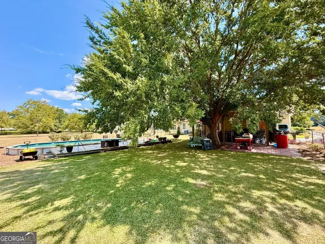 a view of a park with large trees