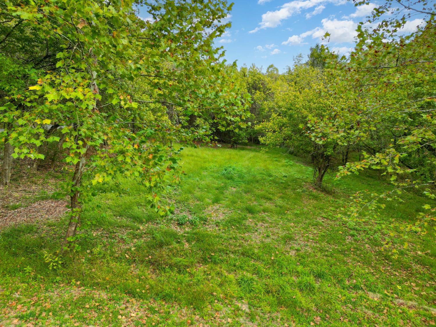 4499 Nelson Road Rising Sun, IN 47040 - Photo 4 of 16