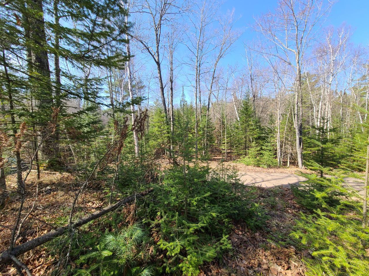 Off Off Bertland Rd Lake Harshaw, WI 54529 - Photo 15 of 19 Gallery Image 15