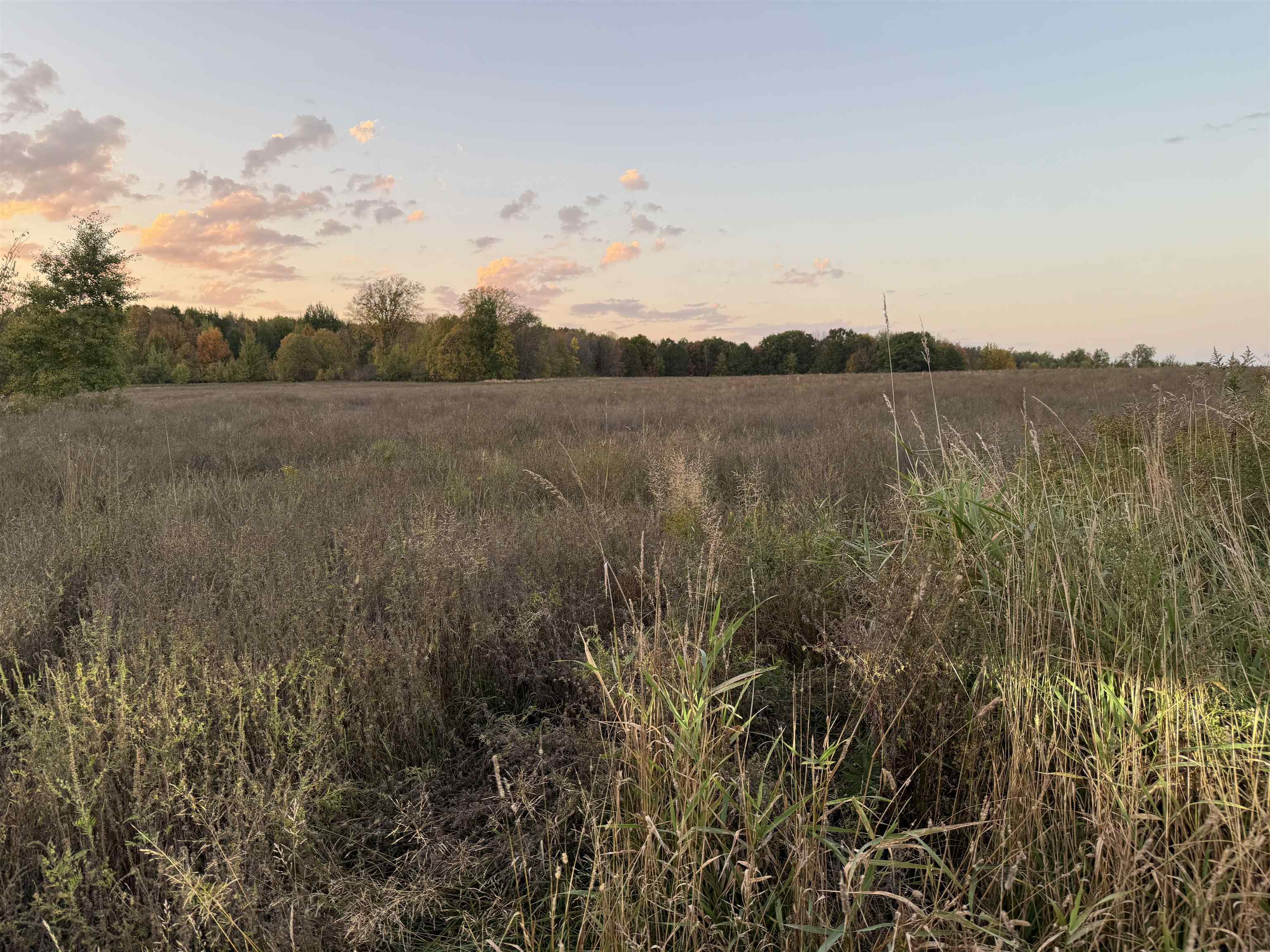 Lot 3 Eau Claire River Road Ringle, WI 54471 - Photo 6 of 19