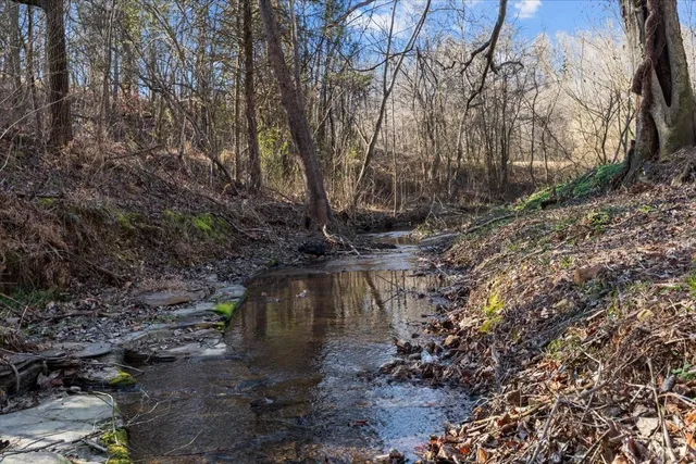 a view of a dry field with trees in background