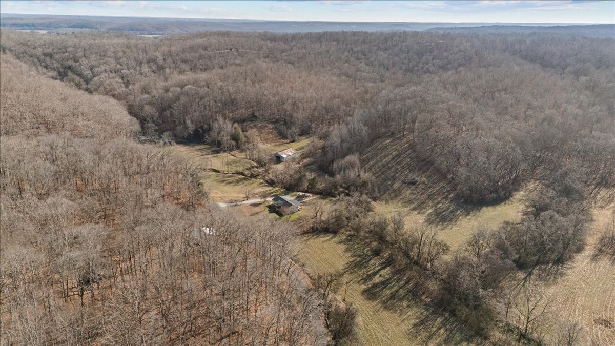 1609 Sycamore Landing Road Waverly, TN 37185 - Photo 38 of 47