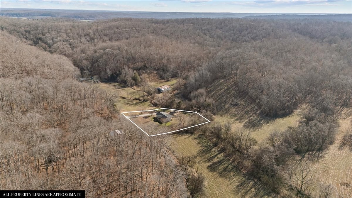 1609 Sycamore Landing Road Waverly, TN 37185 - Photo 39 of 47