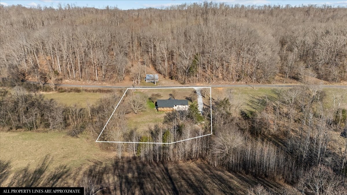 1609 Sycamore Landing Road Waverly, TN 37185 - Photo 41 of 47