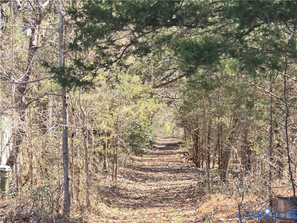 6243 Studley Road Mechanicsville, VA 23116 - Photo 61 of 75