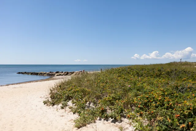 a view of a city with ocean view