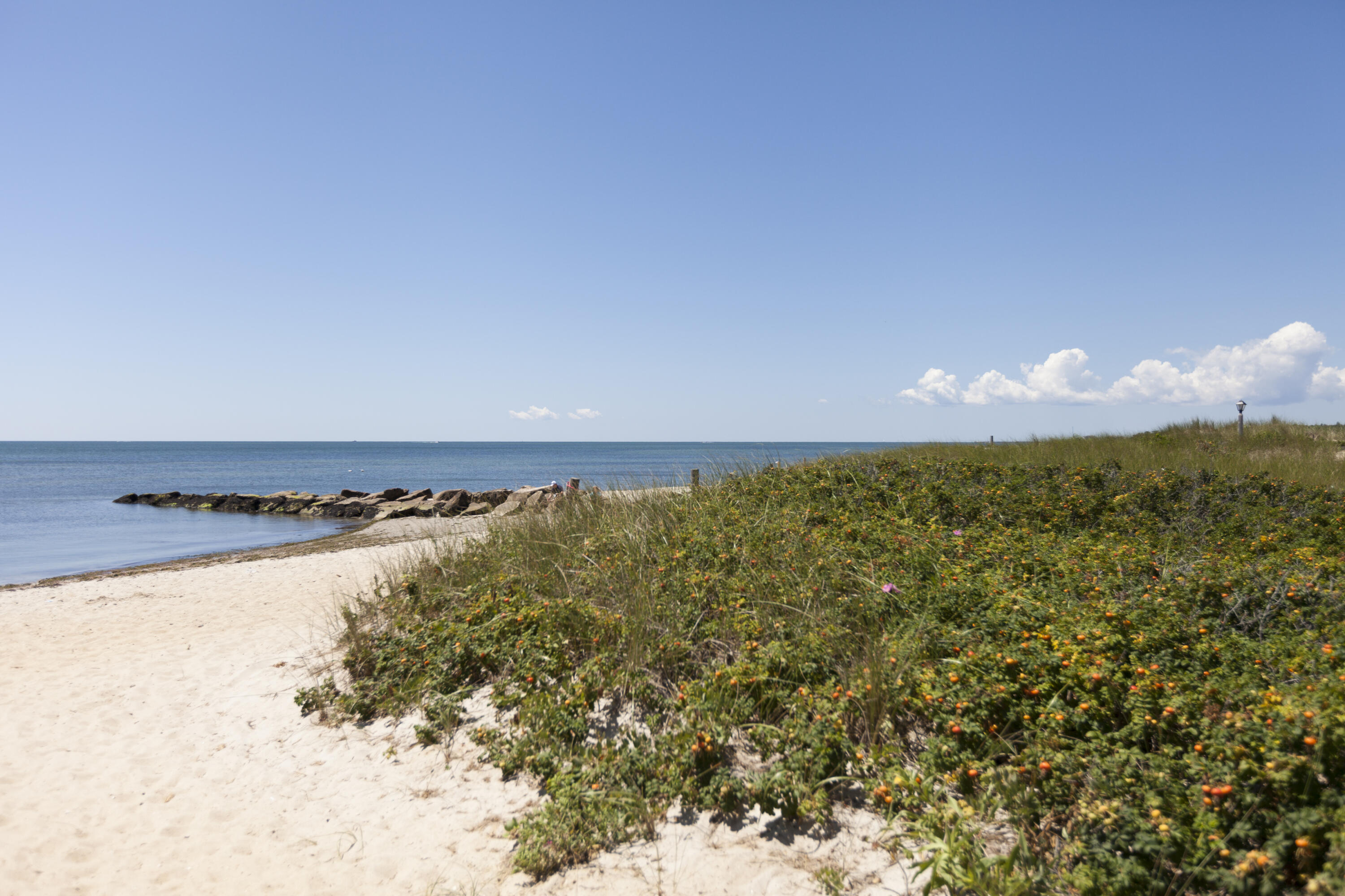 322 Pleasant Street Chatham, MA 02659 - Photo 33 of 39 a view of an ocean